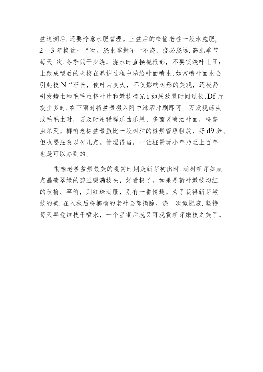 榔榆老桩采挖与培育.docx_第3页