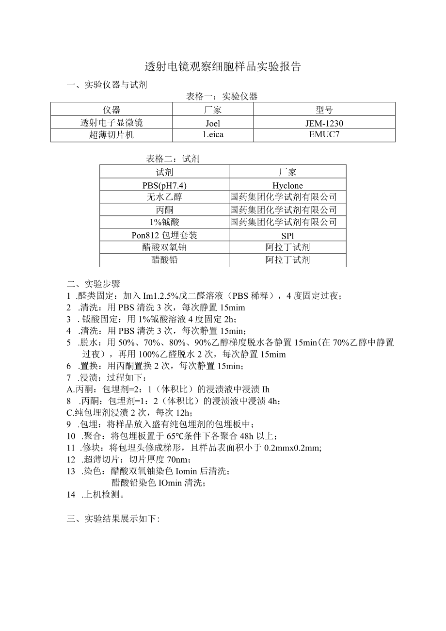 透射电镜观察细胞样品实验报告.docx_第1页