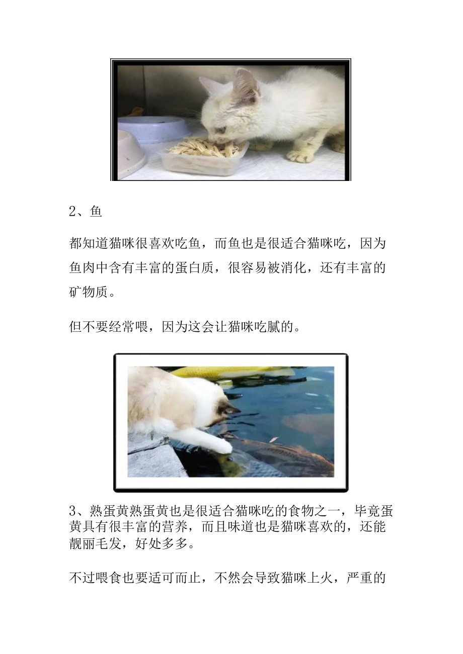 小猫咪吃什么.docx_第2页