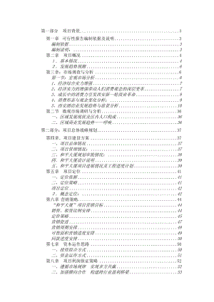 和平大厦可行性研究报告（新稿）.docx