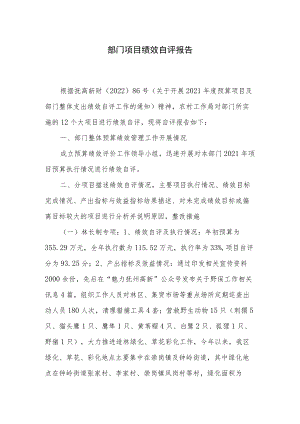 部门项目绩效自评报告.docx