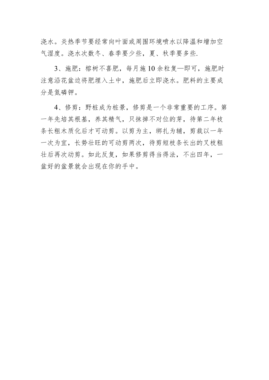 榕树盆景的养护.docx_第2页