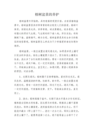 榕树盆景的养护.docx