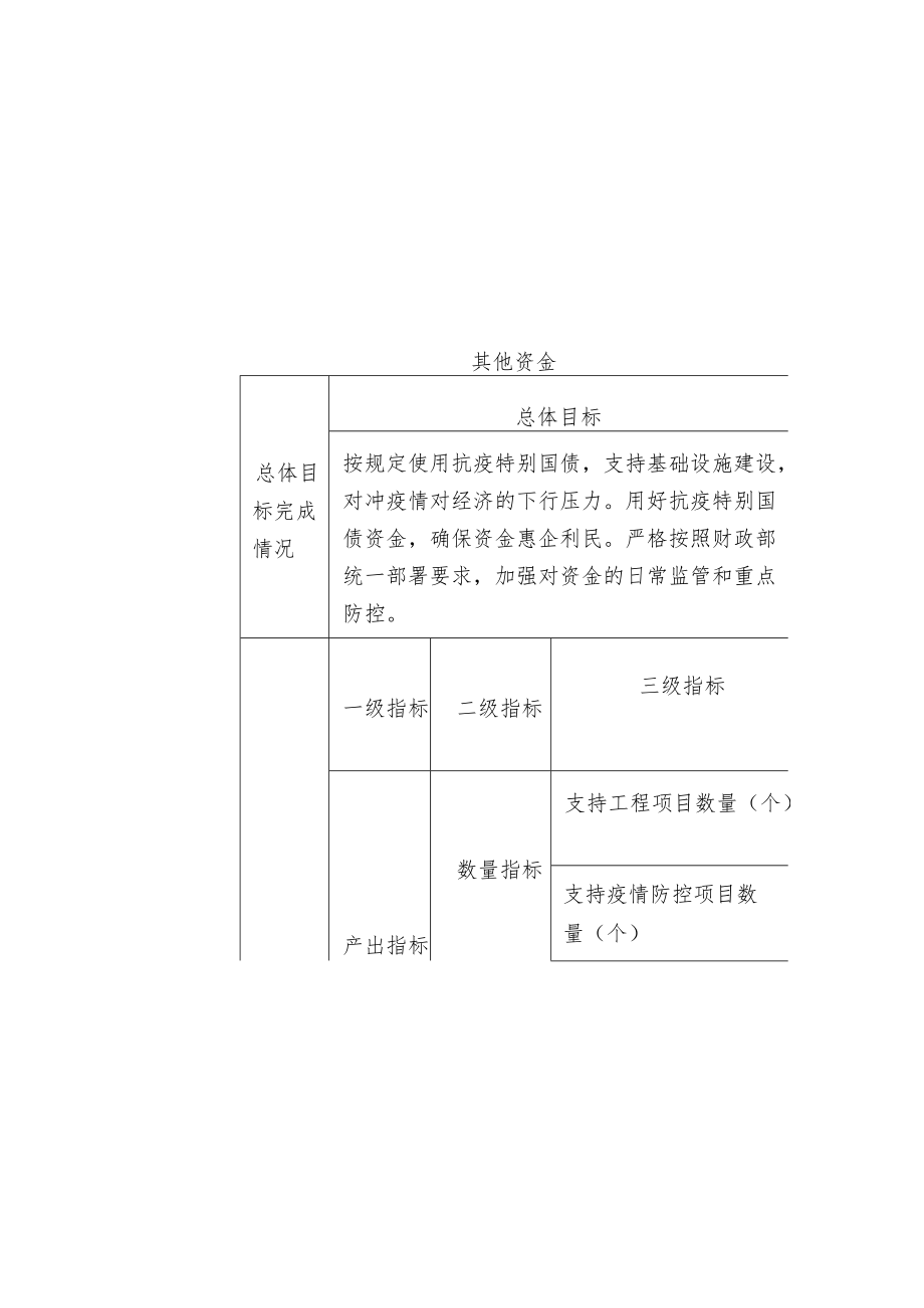 抗疫特别国债绩效目标自评表.docx_第3页