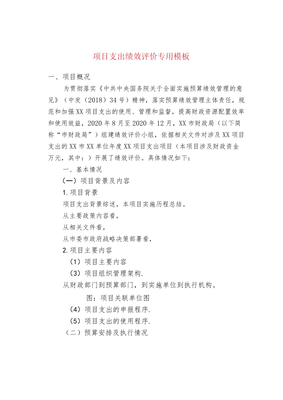 项目支出绩效评价专用模板.docx_第1页