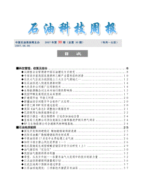 青年与创新石油工业的未来.docx