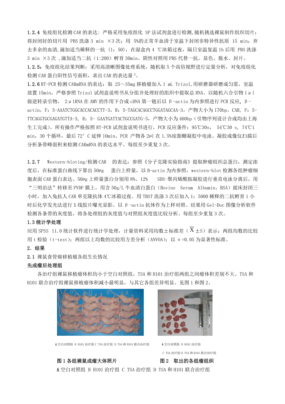 TSA联合基因工程腺病毒 H101治疗人食管癌裸鼠皮下移植瘤的研究.docx_第3页