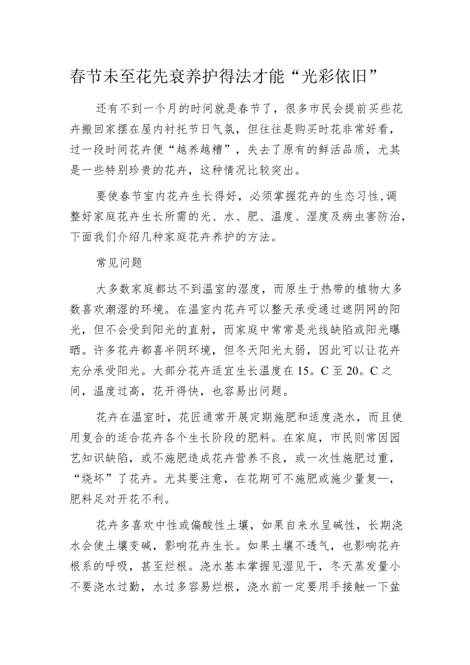 春节未至花先衰 养护得法才能“光彩依旧”.docx_第1页