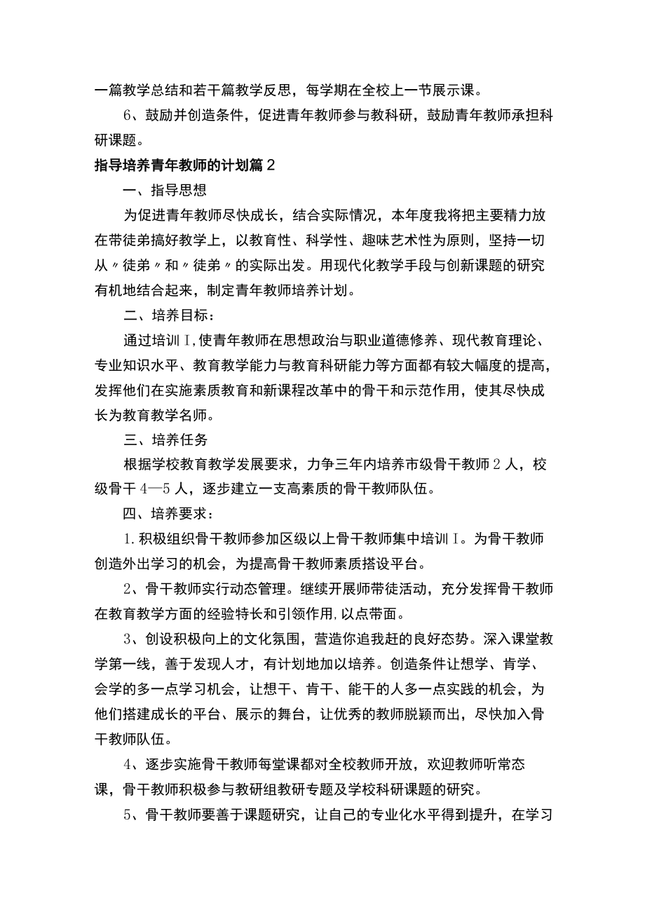 指导培养青年教师的计划（精选5篇）.docx_第3页