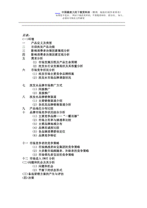 品牌洗发水行业市场营销战略分析.docx