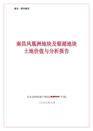 南昌凤凰洲地块及银湖地块土地价值与分析报告.docx