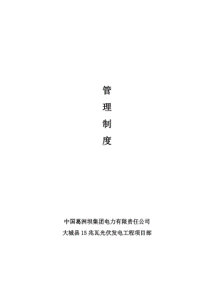 项目管理制度-完成.docx