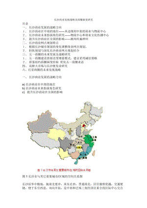 长沙商业发展战略及商圈演变研究.docx