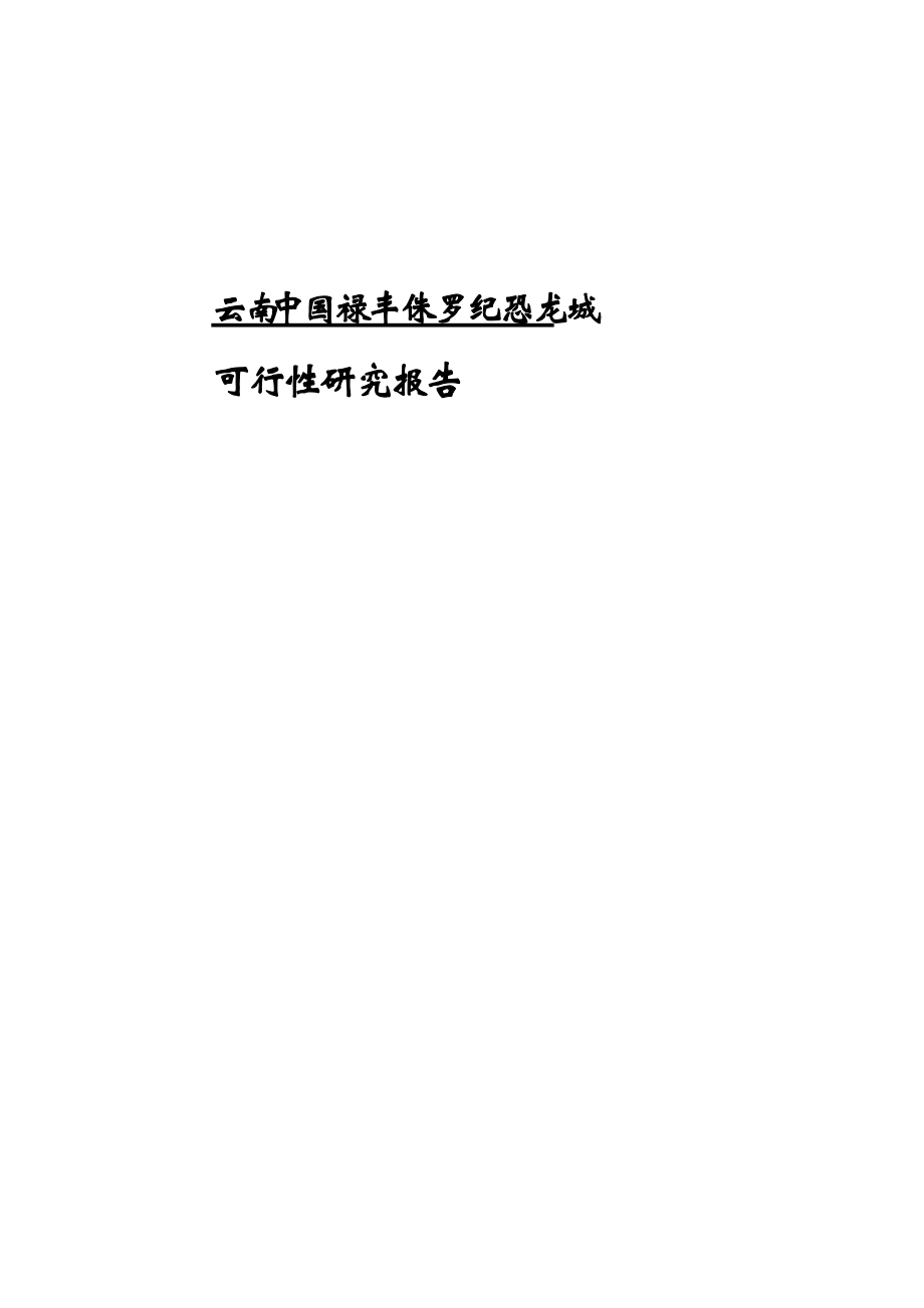 云南某城区可行性研究报告.docx_第1页