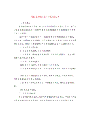 项目支出绩效自评编制实务.docx