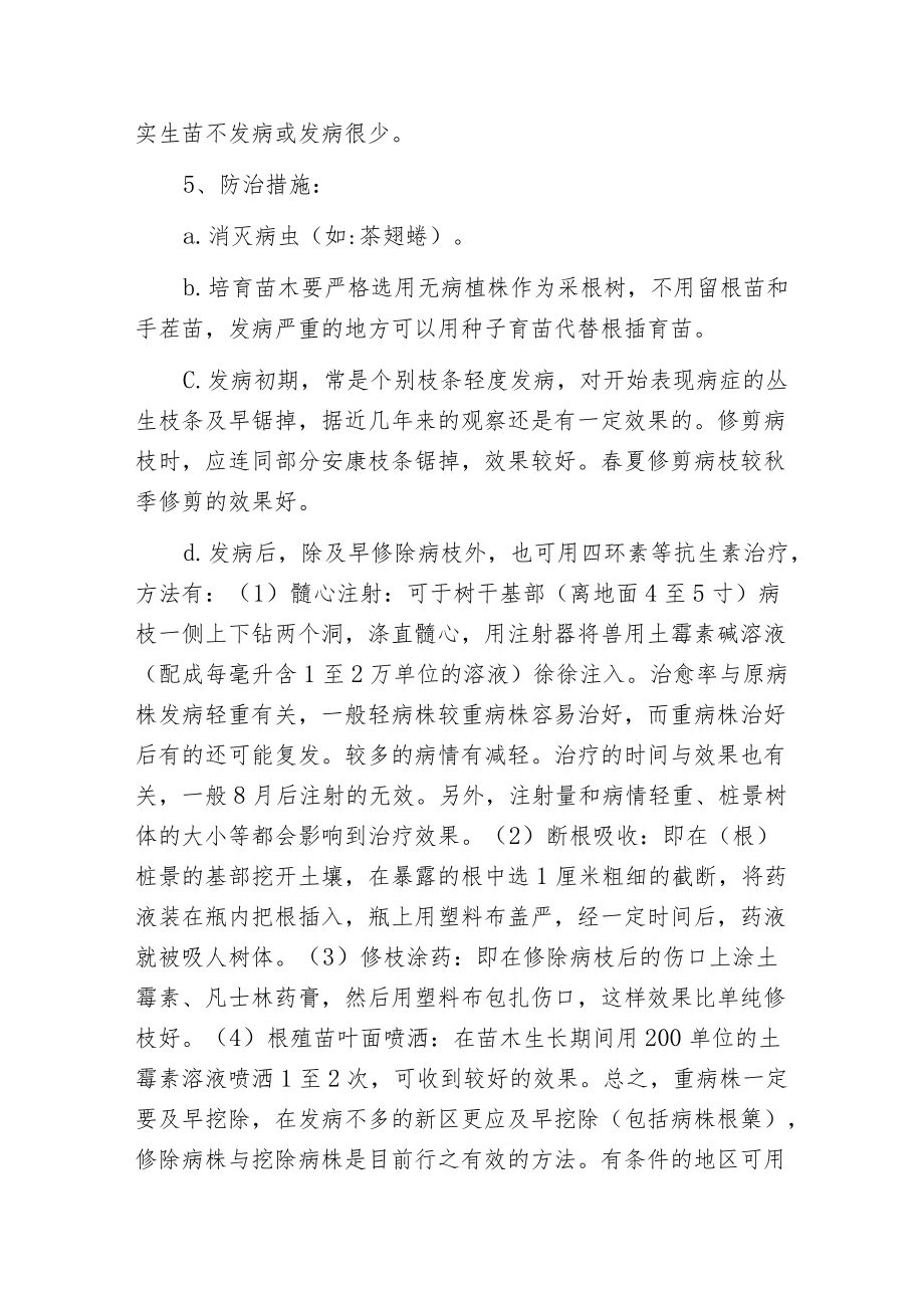 榔榆丛枝病的防治措施.docx_第2页