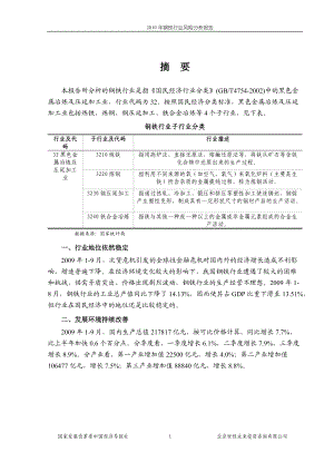 XXXX年钢铁行业风险分析报告.docx