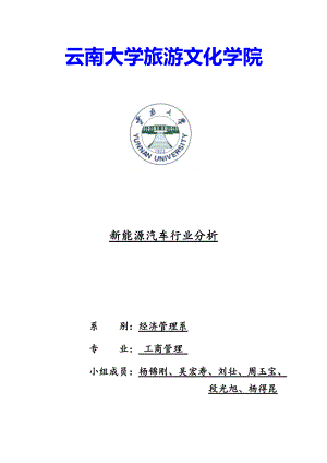 XXXX新能源汽车行业分析.docx