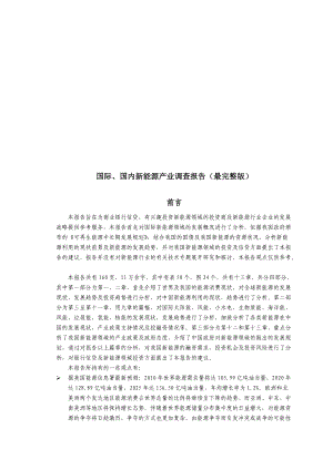 国际与国内新能源利用行业调查报告.docx