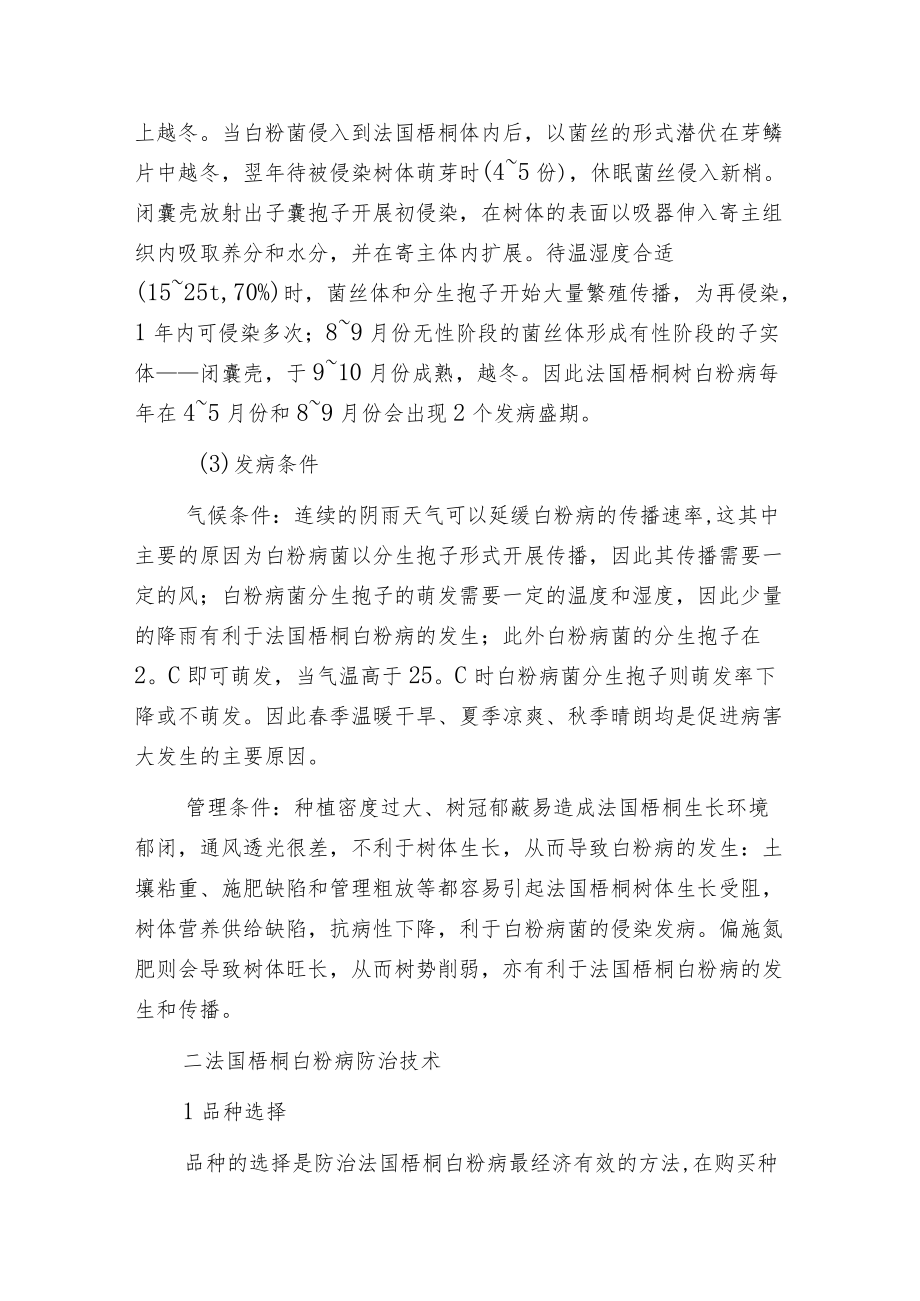 春季注意防治法桐白粉病.docx_第2页