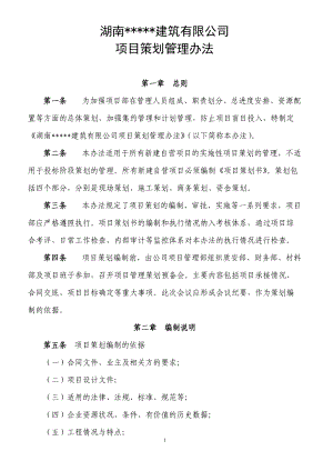 项目策划管理办法.docx