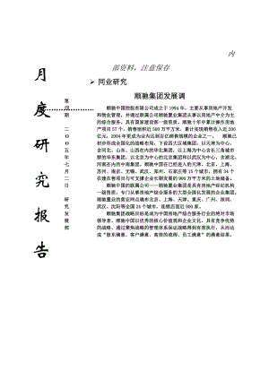 顺驰集团发展调研.docx