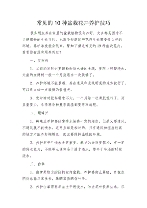 常见的10种盆栽花卉养护技巧.docx