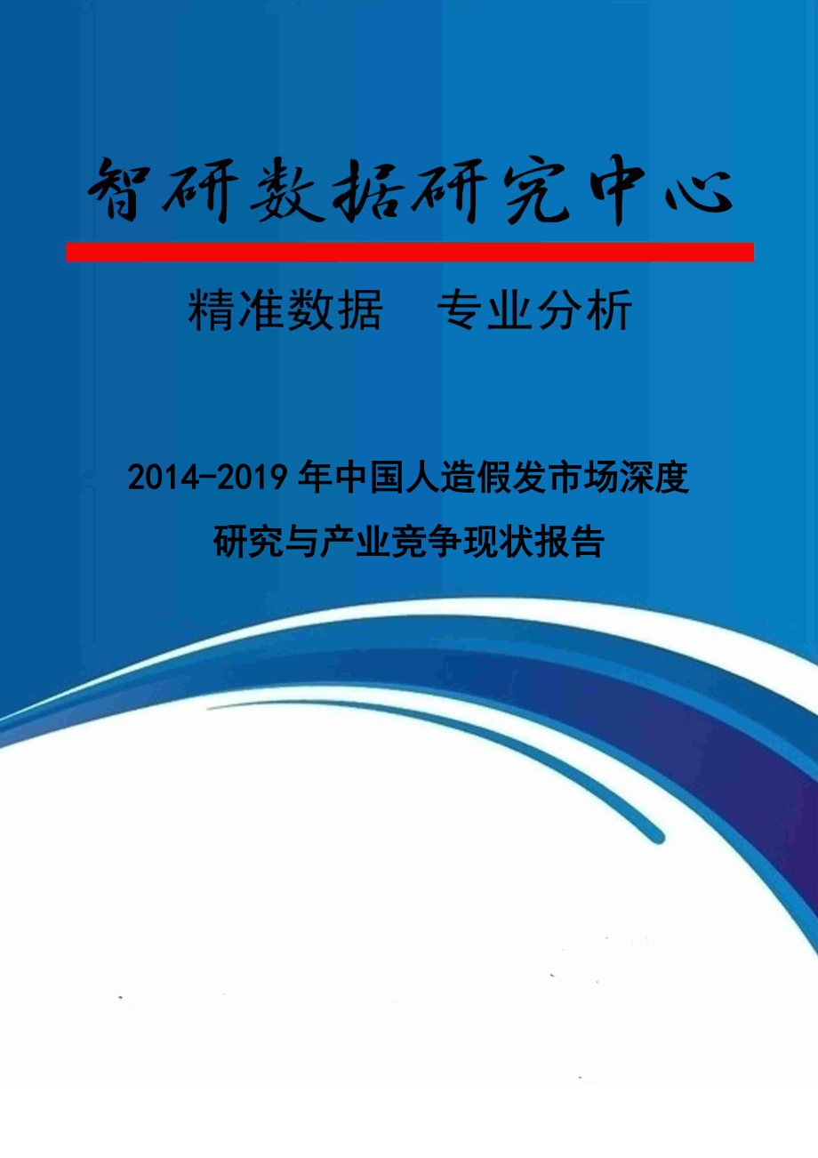 人造假发市场深度研究与产业竞争现状报告.docx_第1页