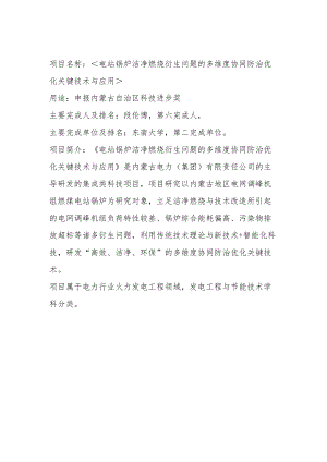 项目名称电站锅炉洁净燃烧衍生问题的多维度协同防治优化关键技术与应用.docx