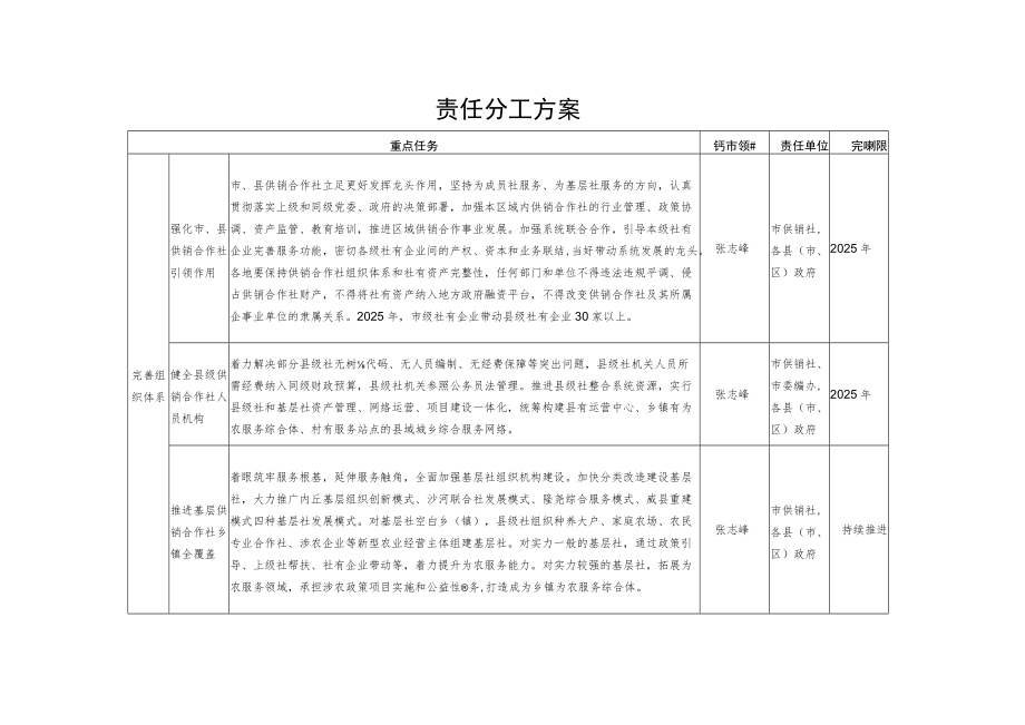 责任分工方案.docx_第1页