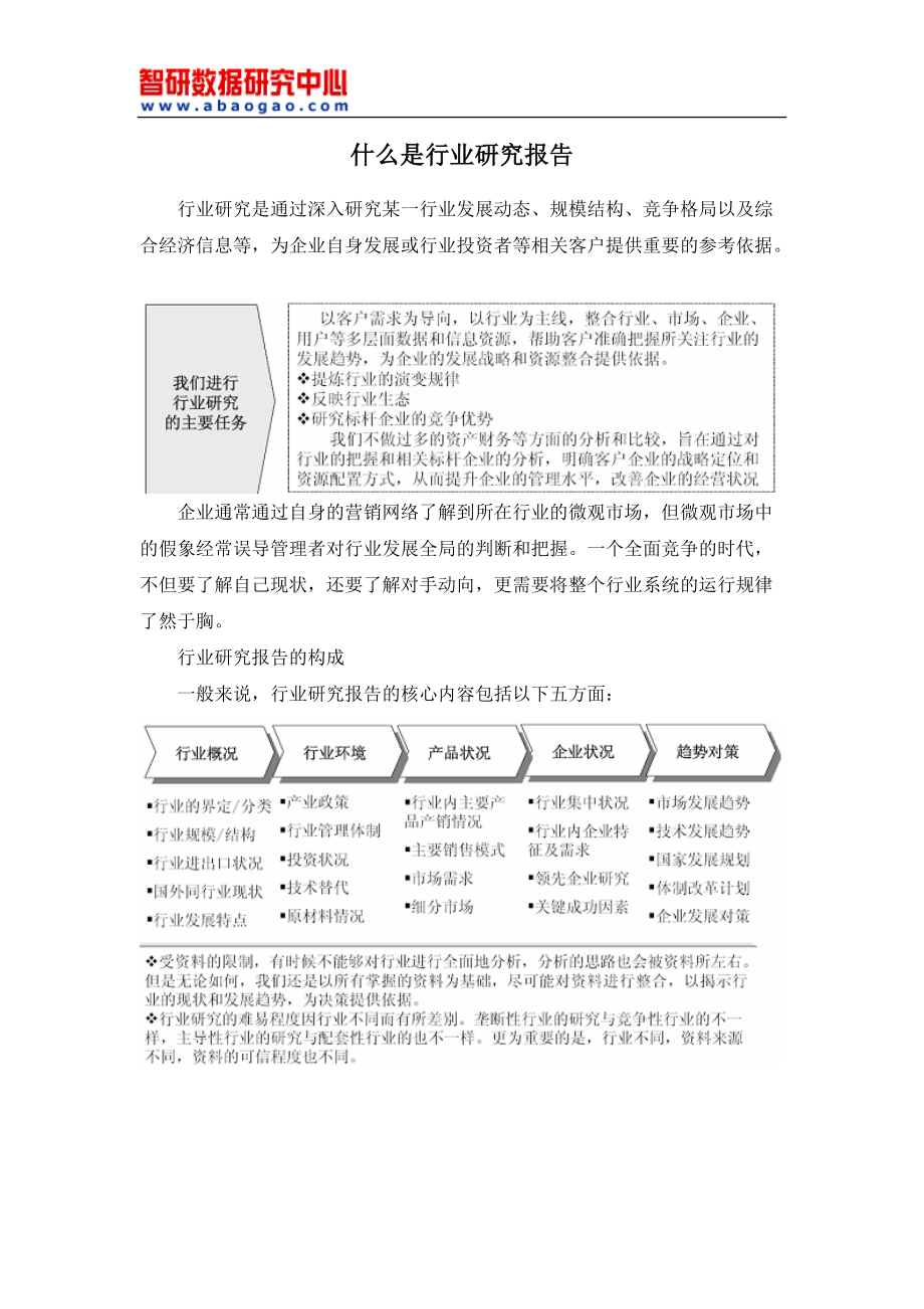 市场全景调查与行业竞争对手分析报告.docx_第2页