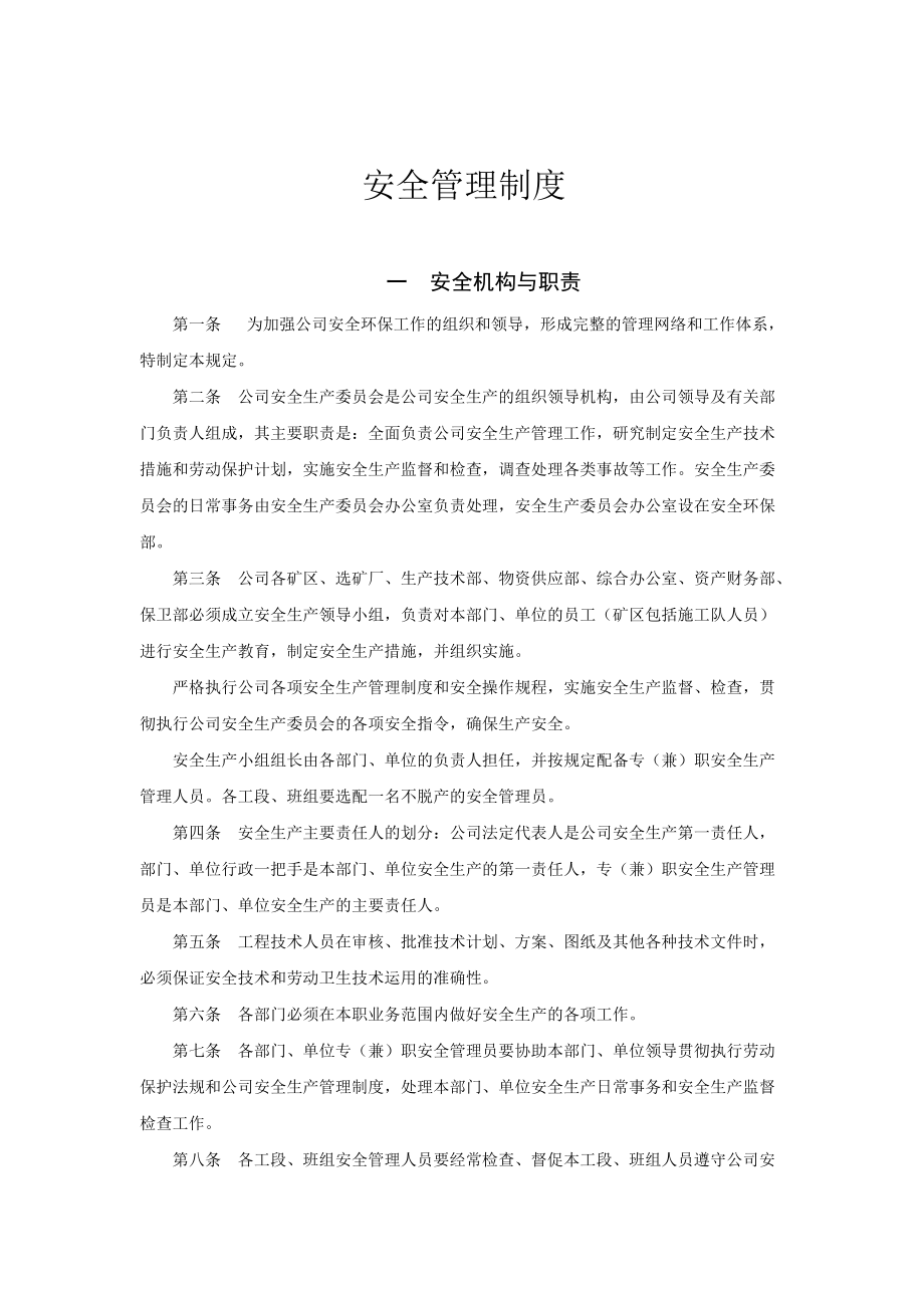 安全管理制度_解决方案_计划解决方案_实用文档.docx_第1页