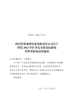 安全质量标准化管理办法及表格.docx