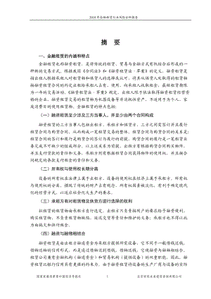 金融租赁行业风险分析报告.docx