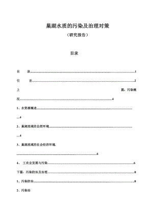 巢湖水质的污染及治理对策.docx