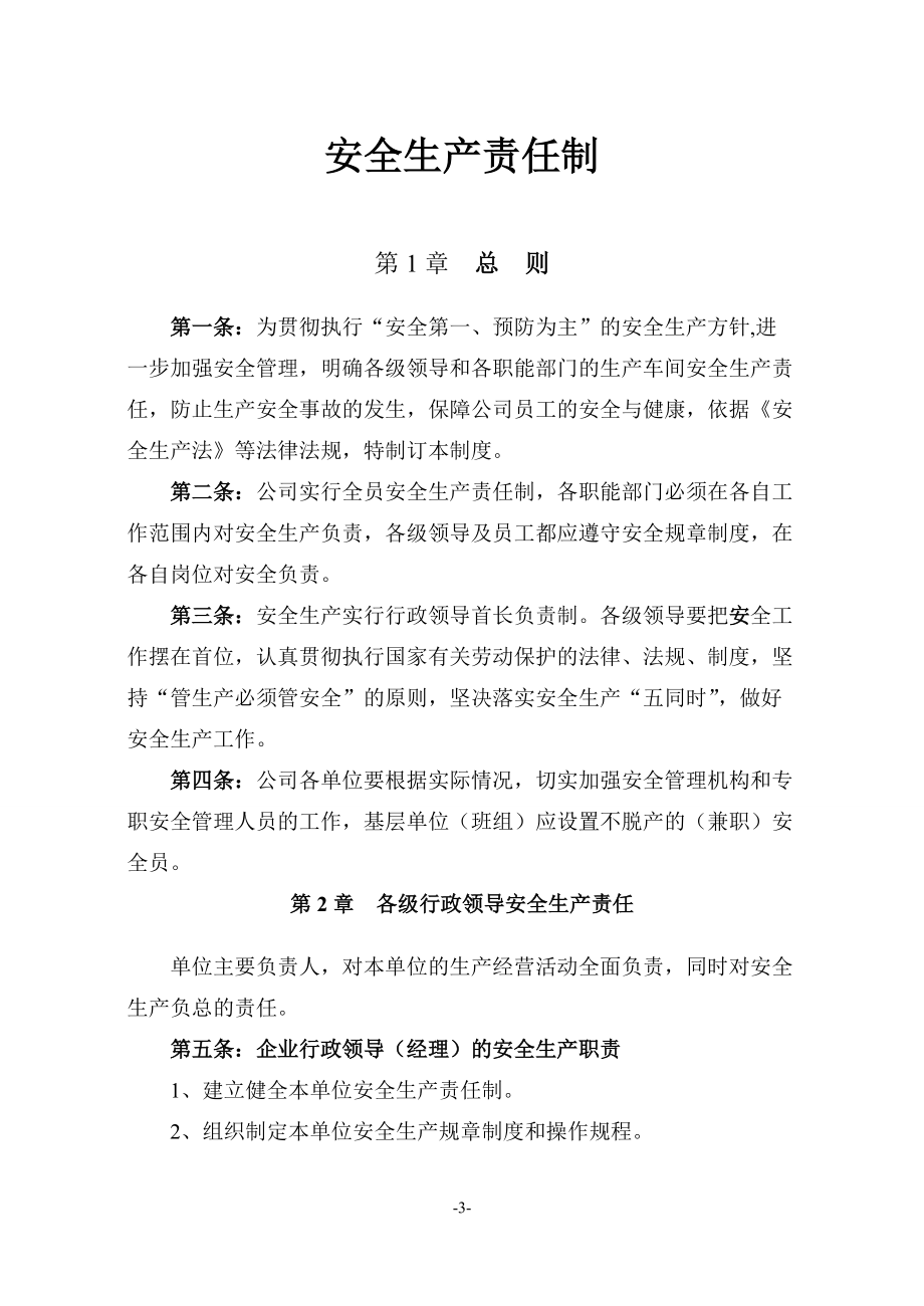 安全管理网络控制图及制度.docx_第3页