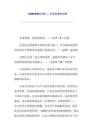 行业竞争分析及战略营销计划.docx