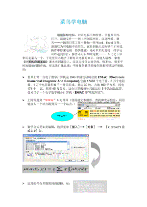 菜鸟学电脑07级企业工商管理.docx