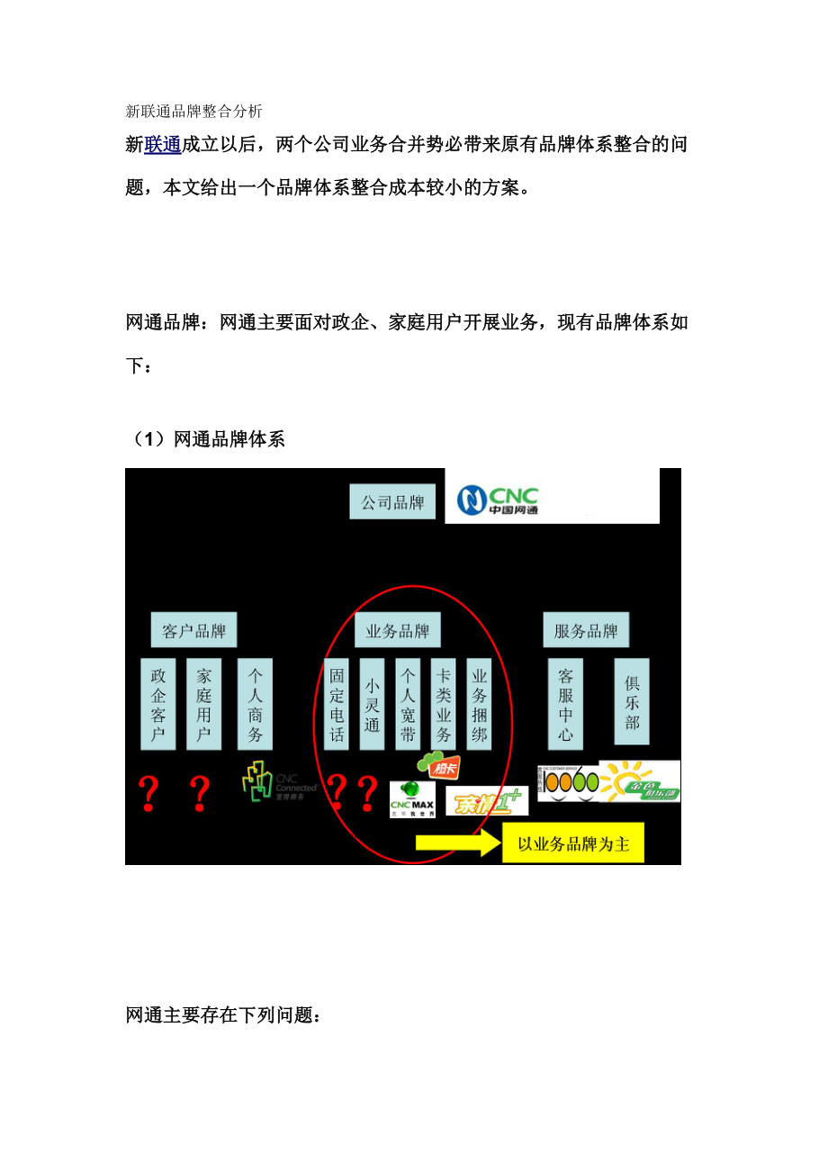 新联通品牌整合分析.docx_第1页