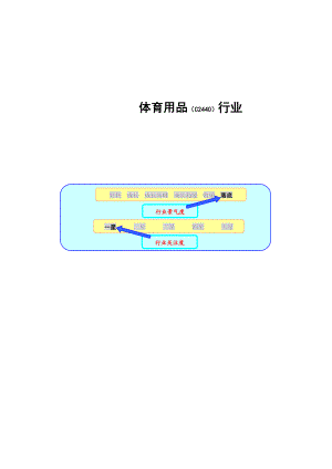 文体用品：体育用品行业某某年报告.docx