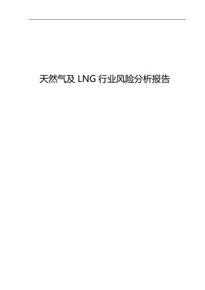 天然气及LNG行业风险分析报告.docx