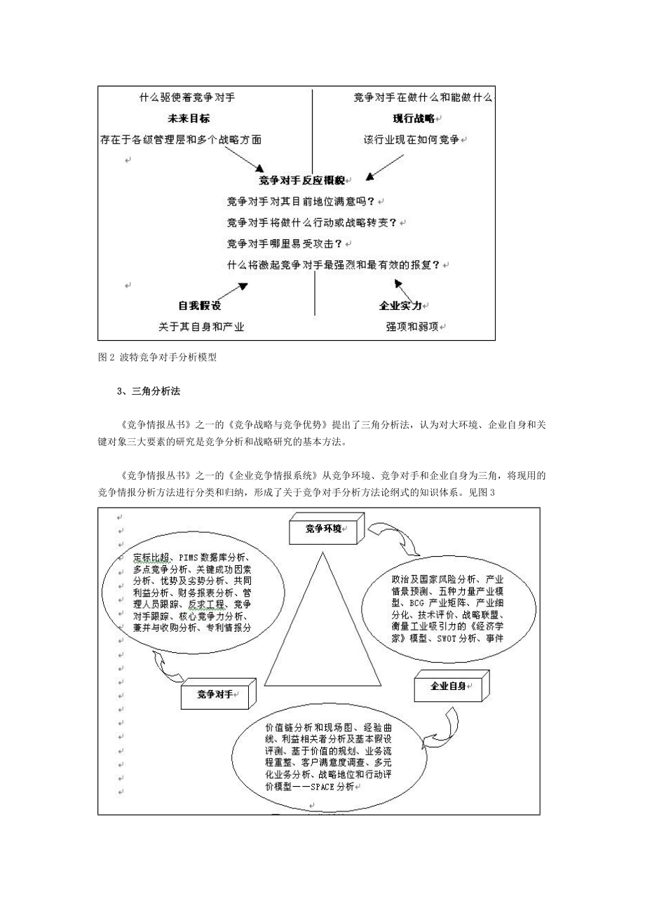 竞争对手分析论纲(1).docx_第2页