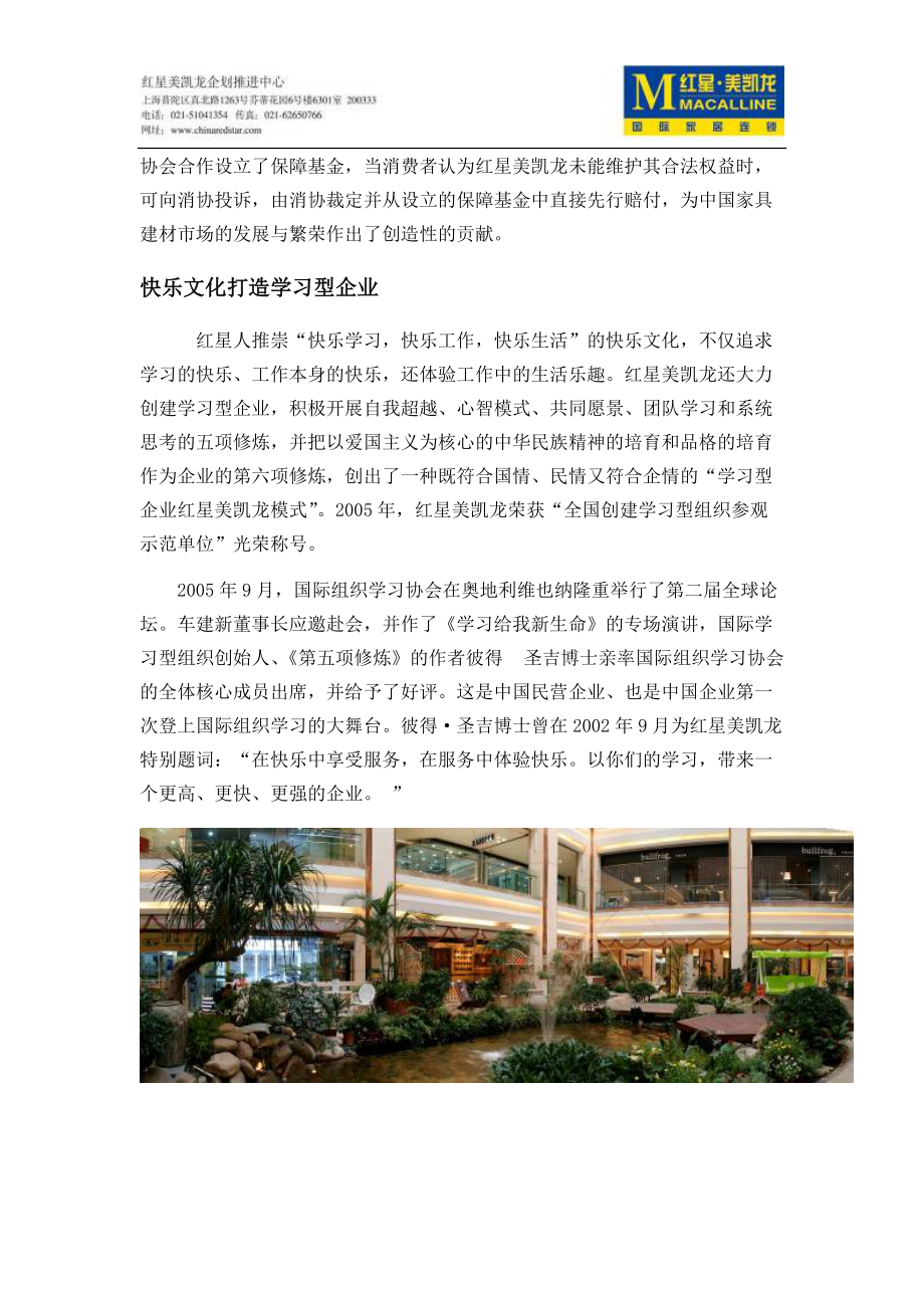 红星美凯龙国际家居连锁.docx_第3页