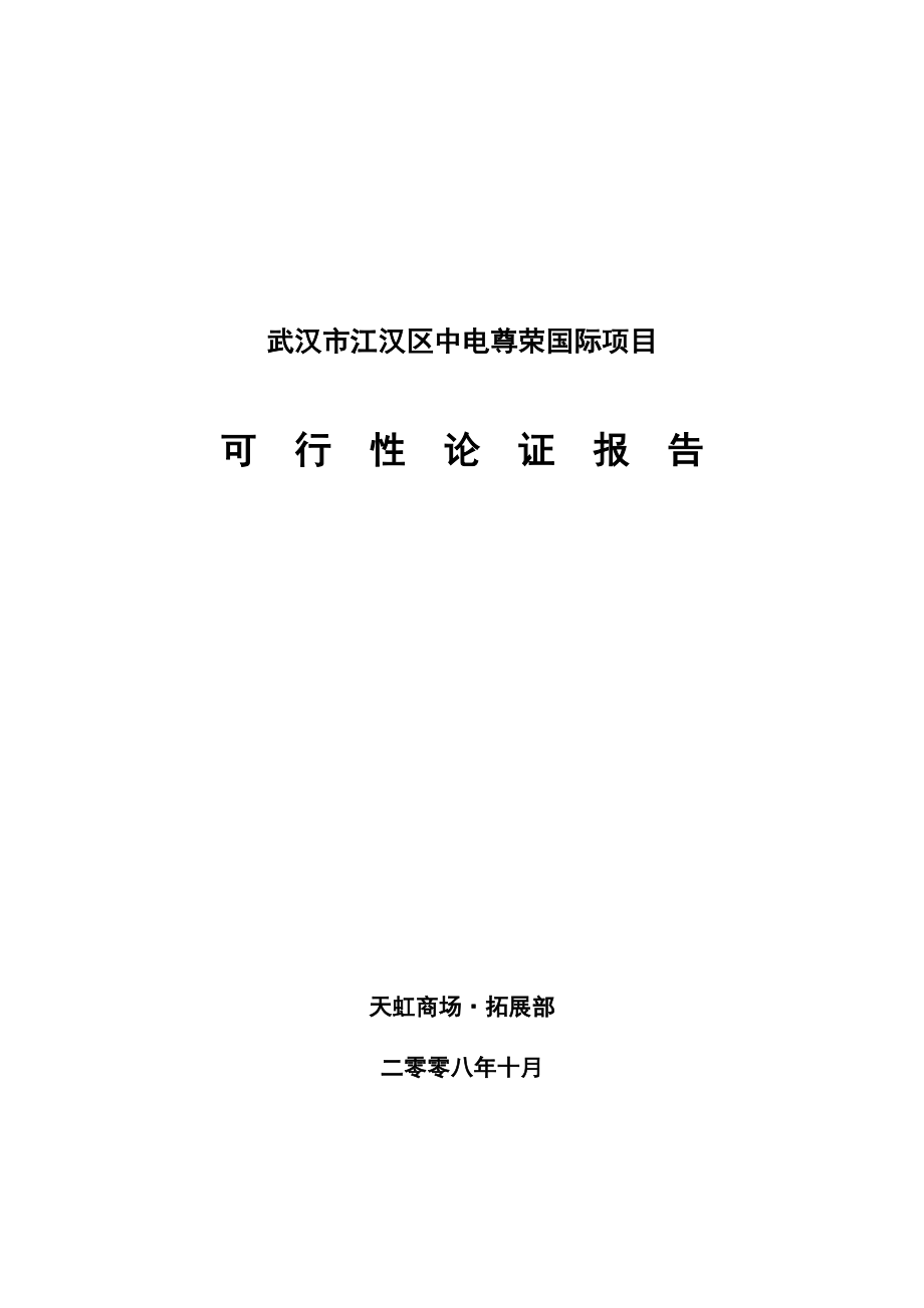 武汉某国际项目可行性论证报告.docx_第1页