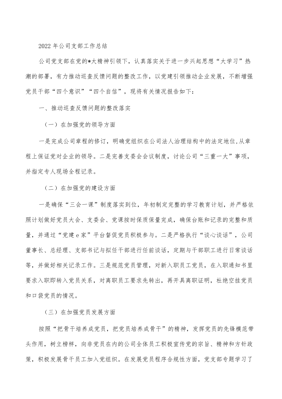 2022年公司支部工作总结.docx_第1页