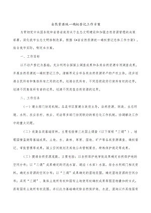 自然资源统一确权登记工作方案.docx