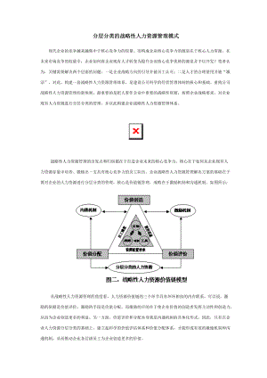 分层分类的战略性人力资源管理模式.doc