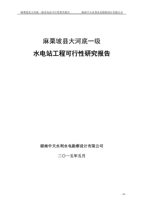 麻栗坡县大河底一级水电站可行性研究报告.docx