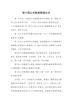 审计局公共数据管理办法.docx