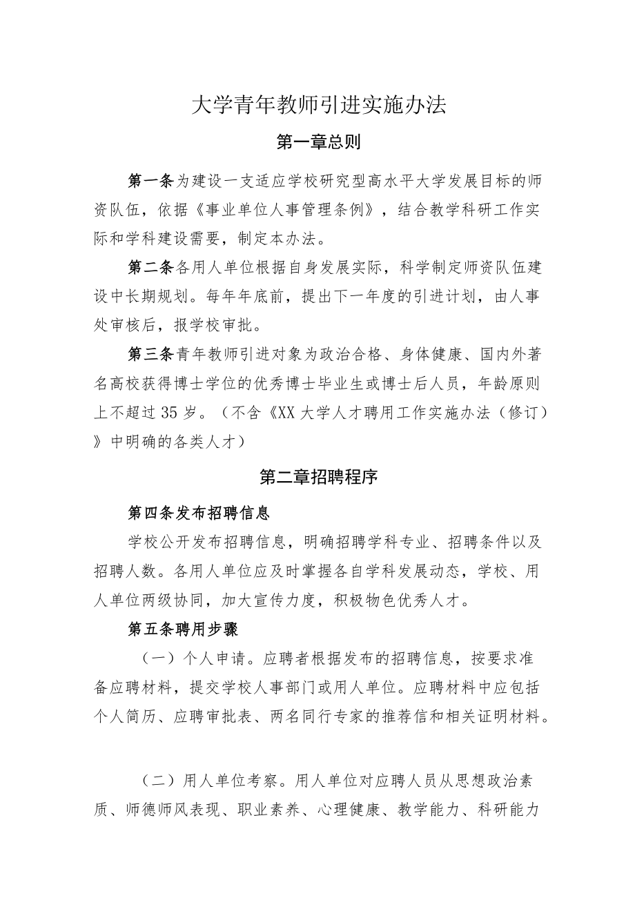 大学青年教师引进实施办法.docx_第1页